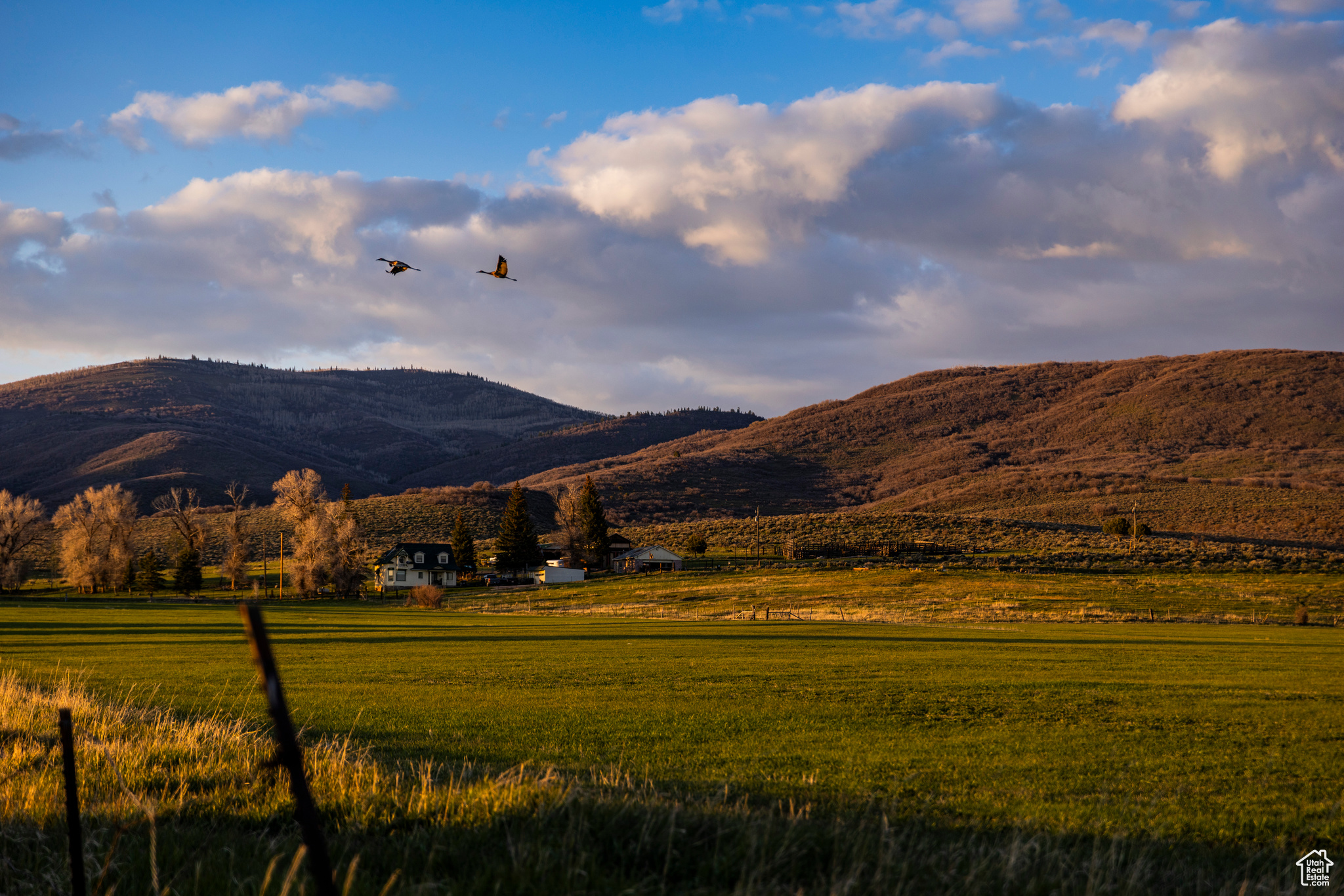 NORTH BENCH FARMS - Land