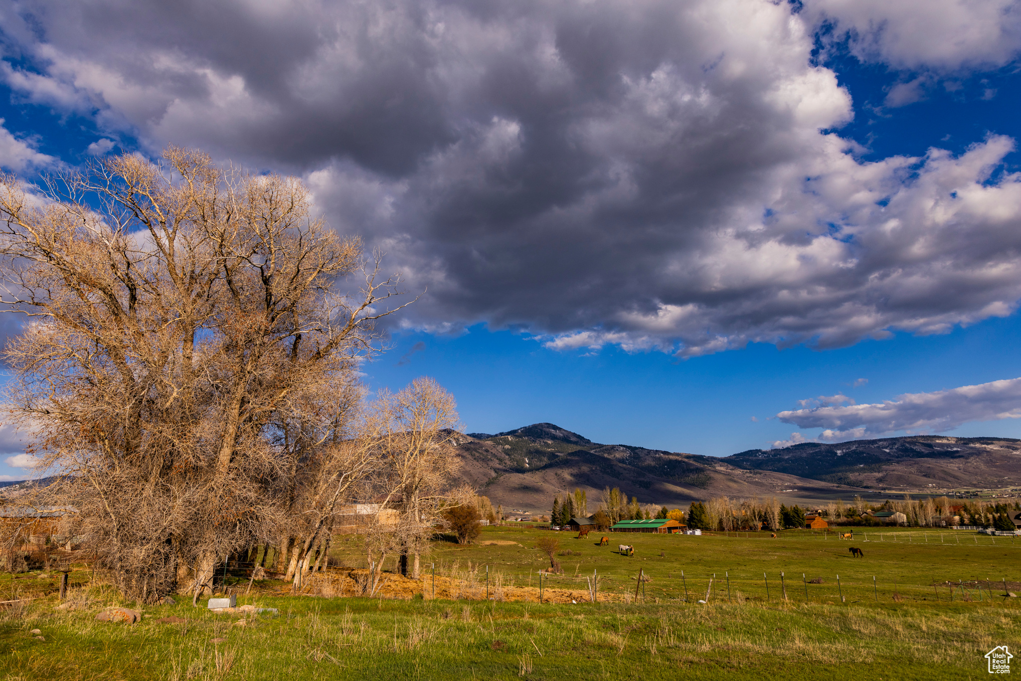 NORTH BENCH FARMS - Land