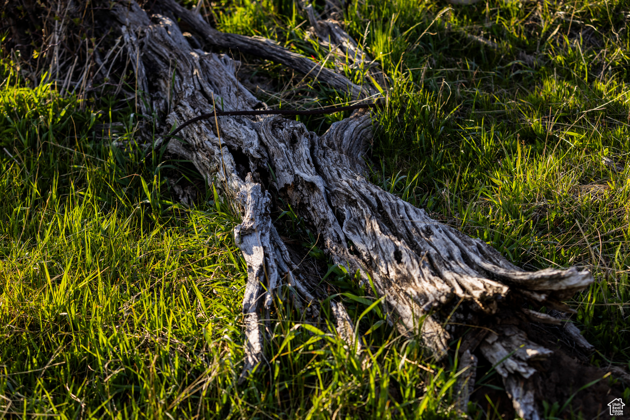 NORTH BENCH FARMS - Land