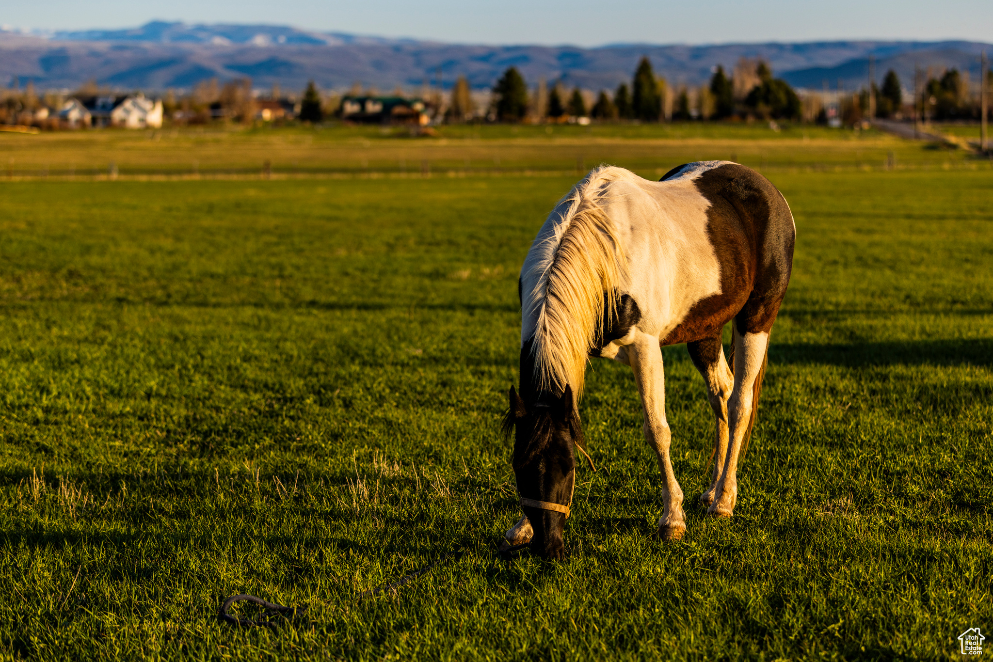 NORTH BENCH FARMS - Land