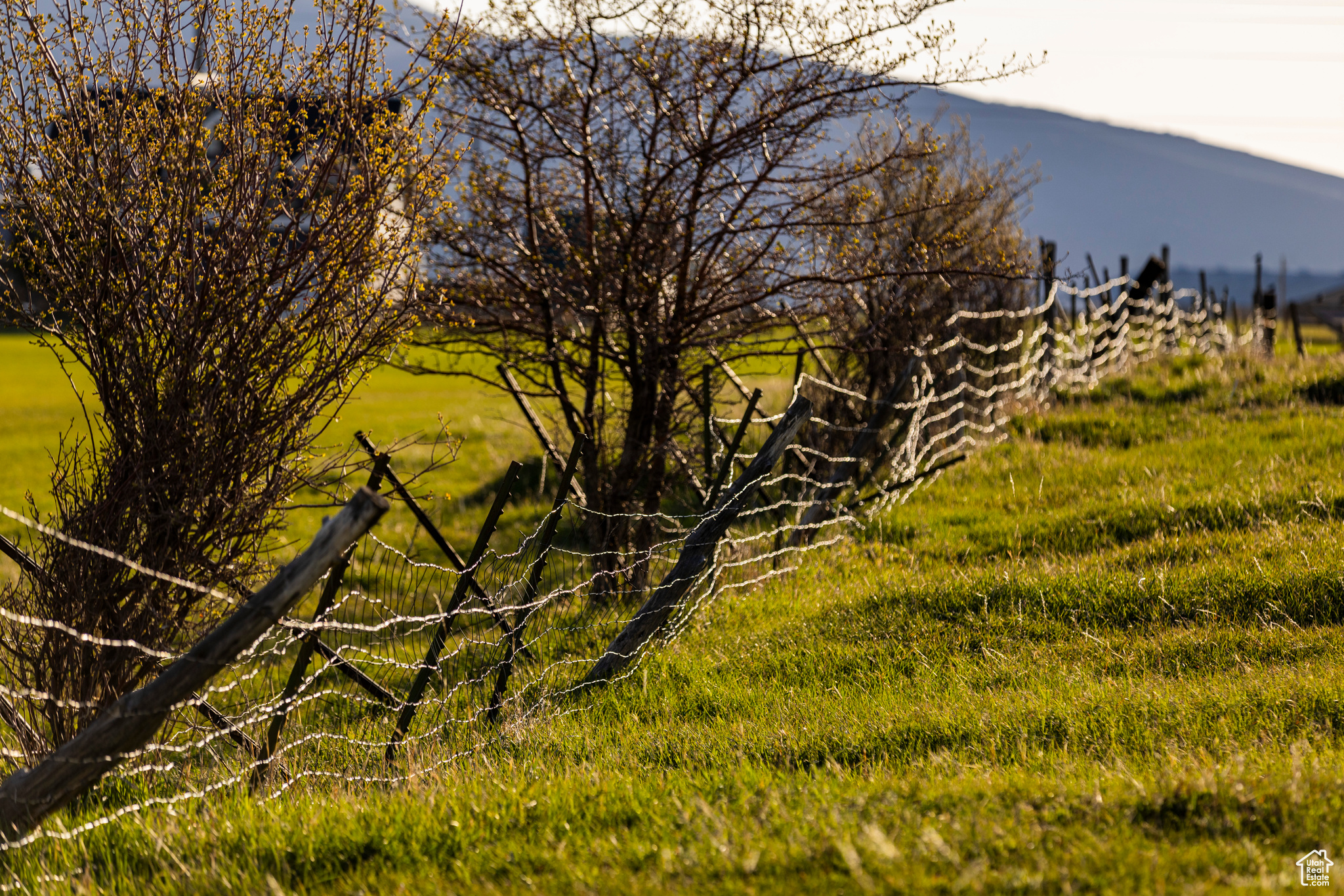 NORTH BENCH FARMS - Land
