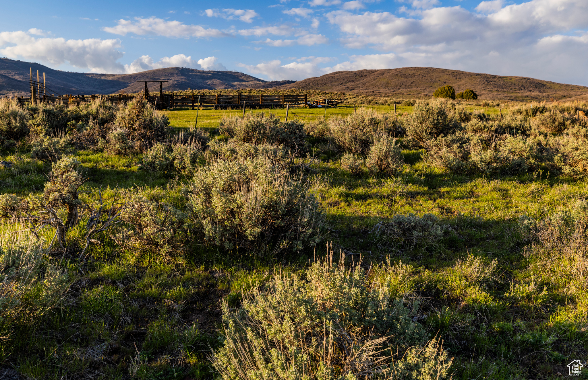 NORTH BENCH FARMS - Land