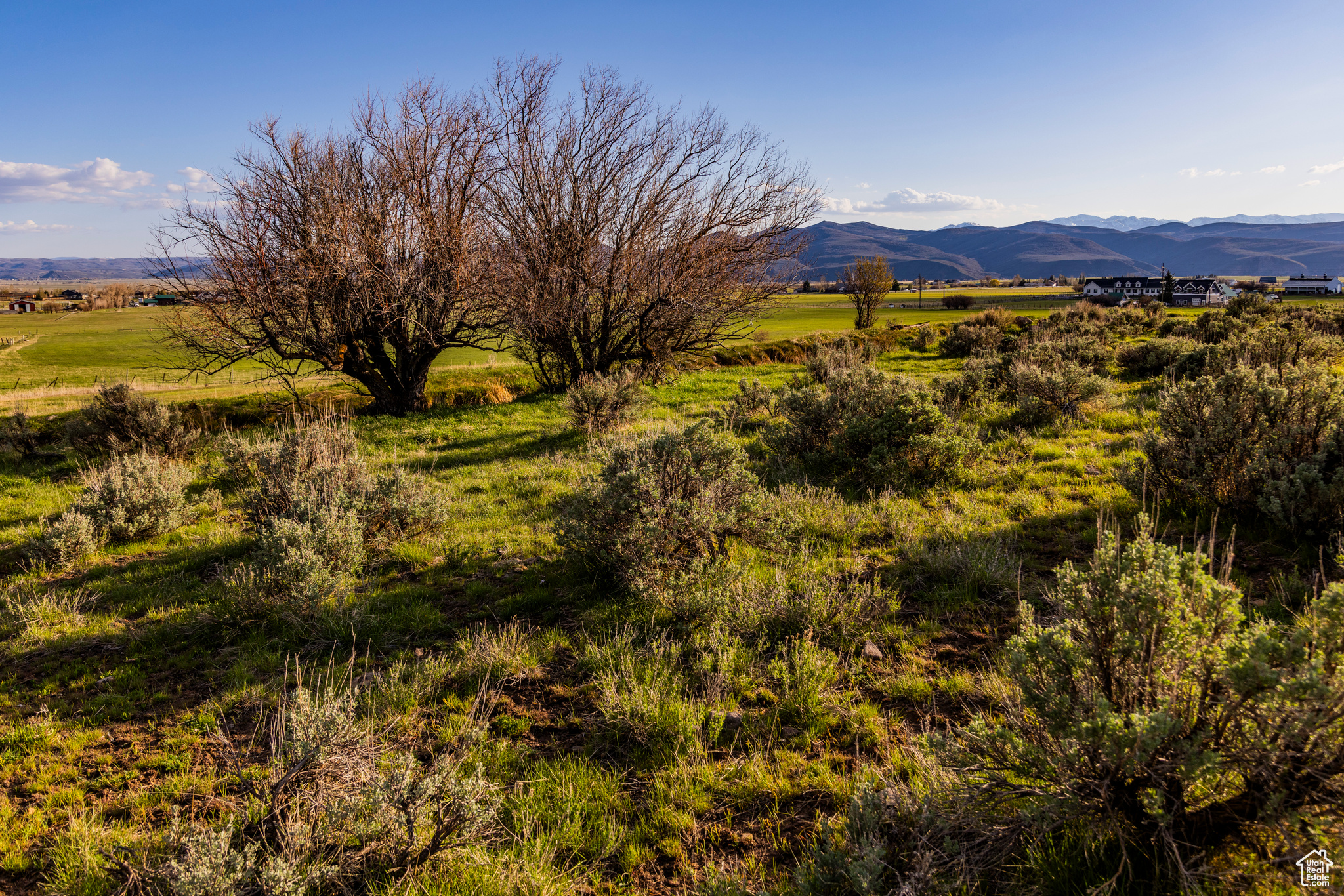 NORTH BENCH FARMS - Land