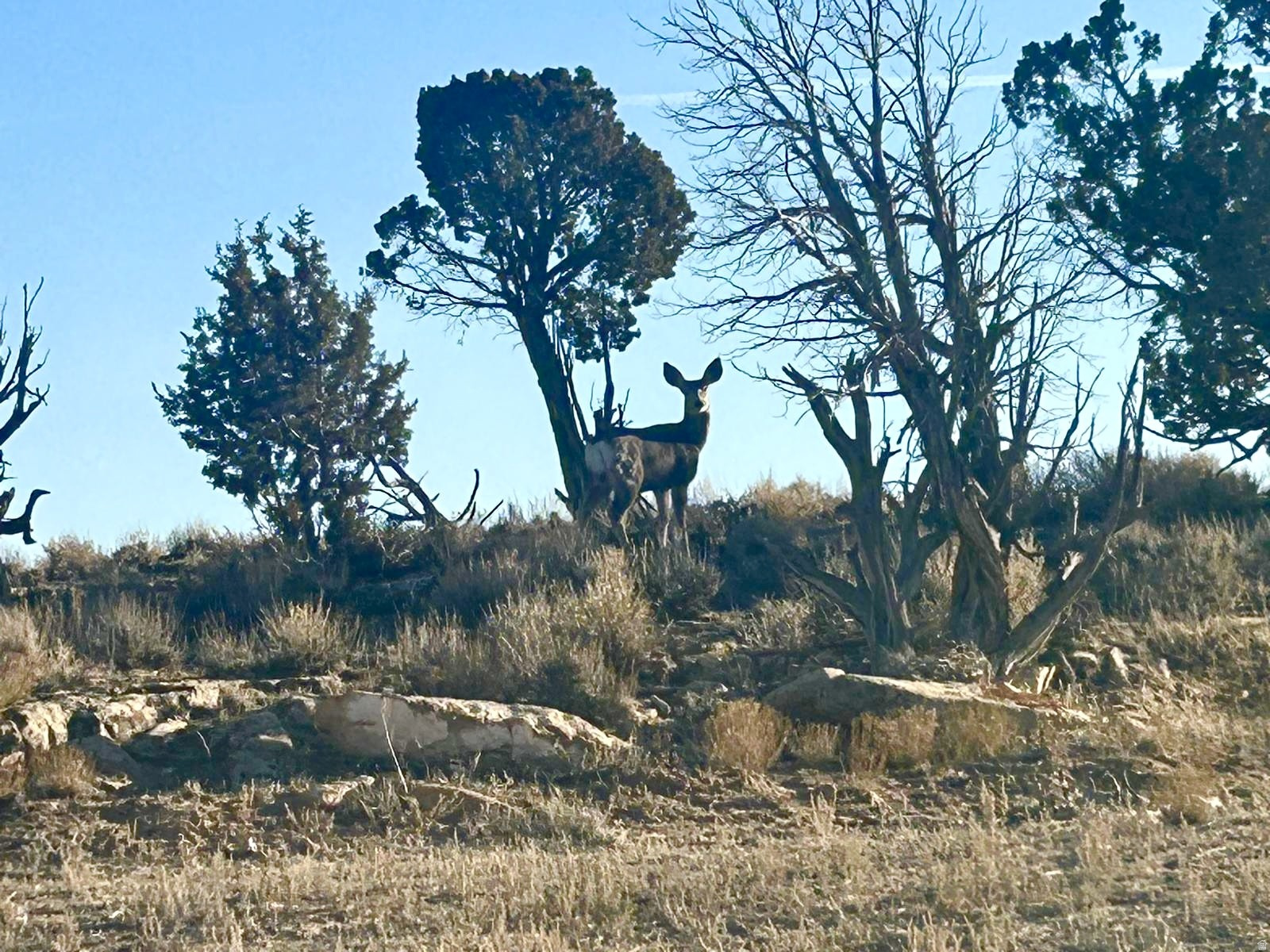 LAKE POINTE RANCHES PHASE 3 - Land