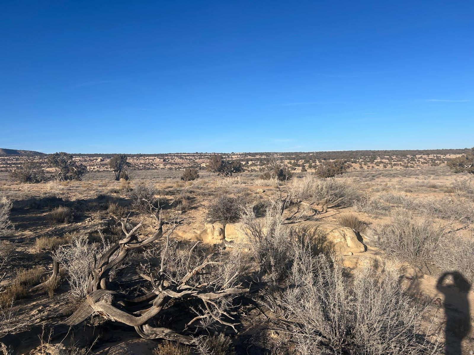 LAKE POINTE RANCHES PHASE 3 - Land