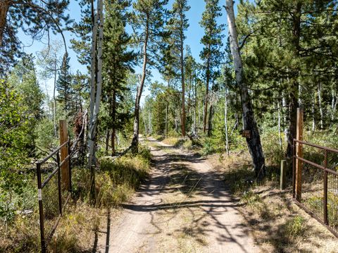 Tiny photo for 5559 FOREST DR, Kamas, UT 84036 (MLS # 2146980)