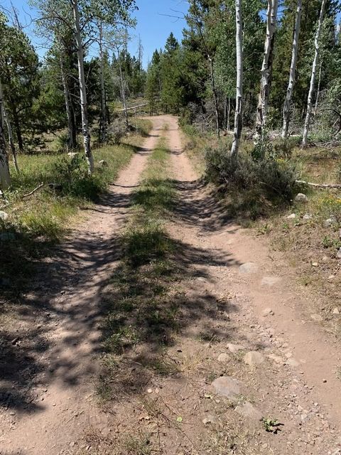 Tiny photo for 5559 FOREST DR, Kamas, UT 84036 (MLS # 2146980)