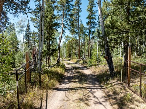 Tiny photo for 5559 FOREST DR, Kamas, UT 84036 (MLS # 2146980)