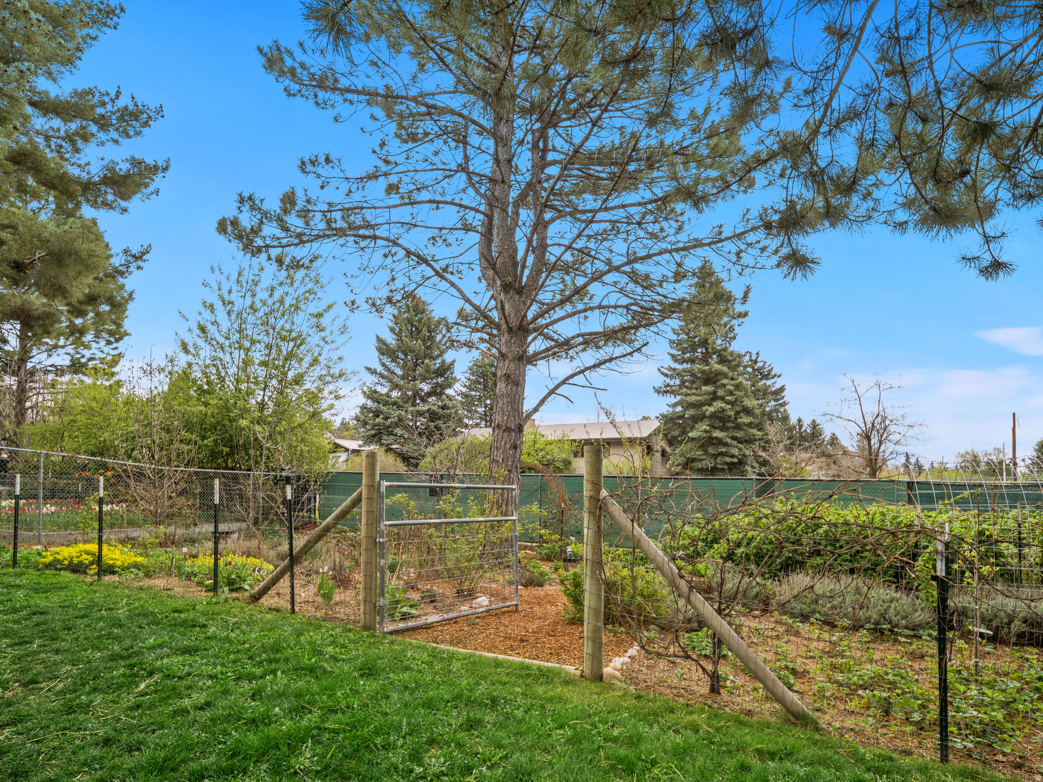 EDEN HILLS - Residential