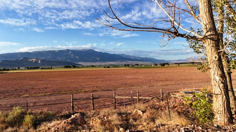 Tiny photo for 1000 E TBD MINK FARM RD, Richfield, UT 84701 (MLS # 2182969)
