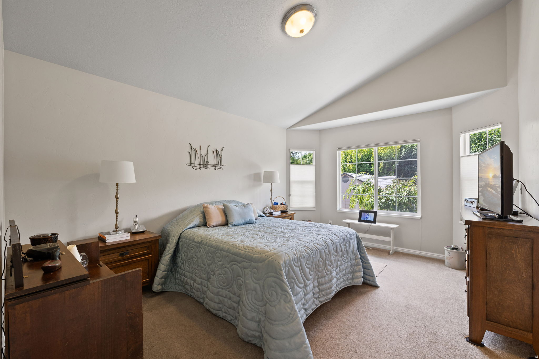 PRINCETON PARK - Residential