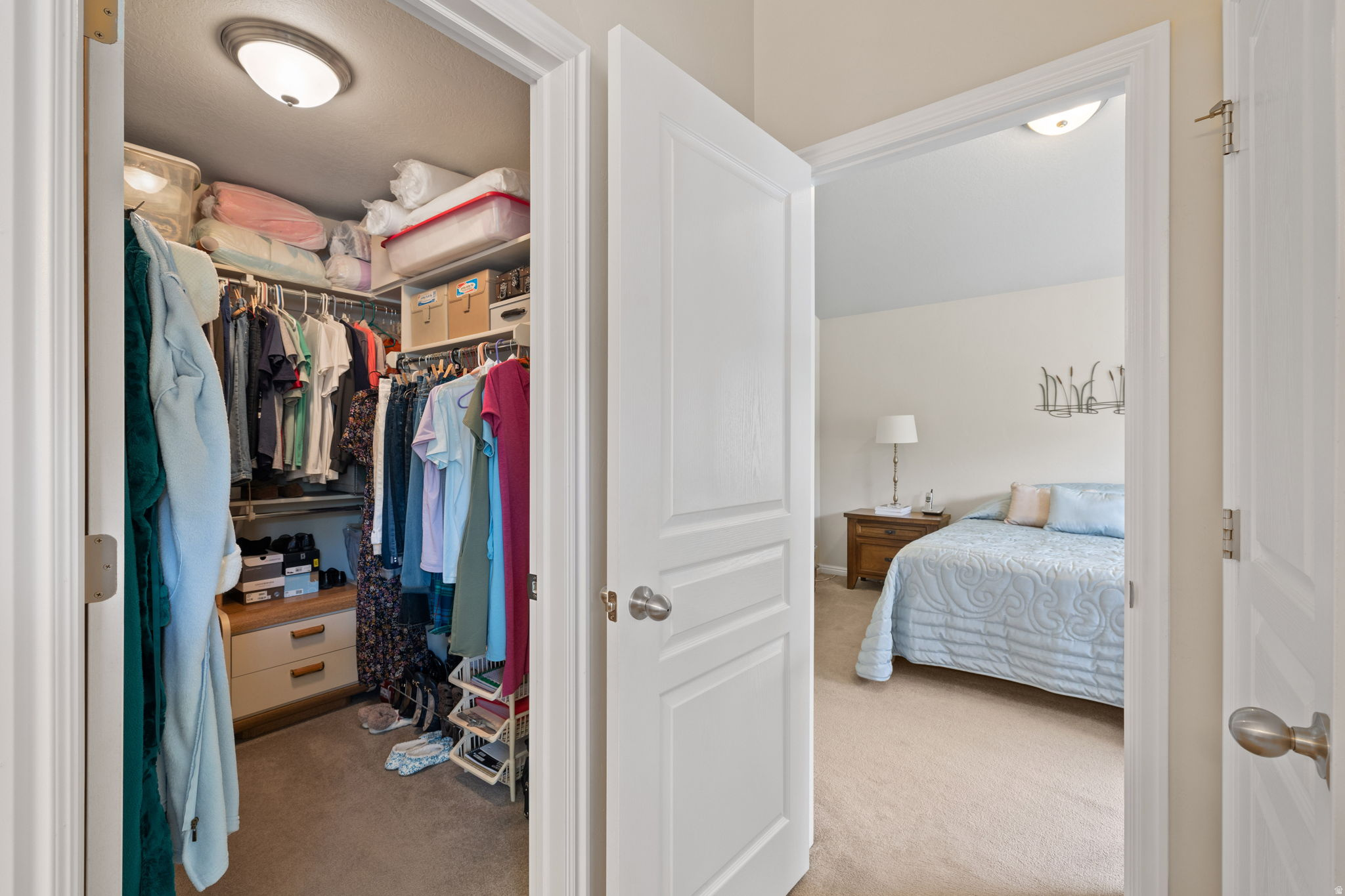 PRINCETON PARK - Residential