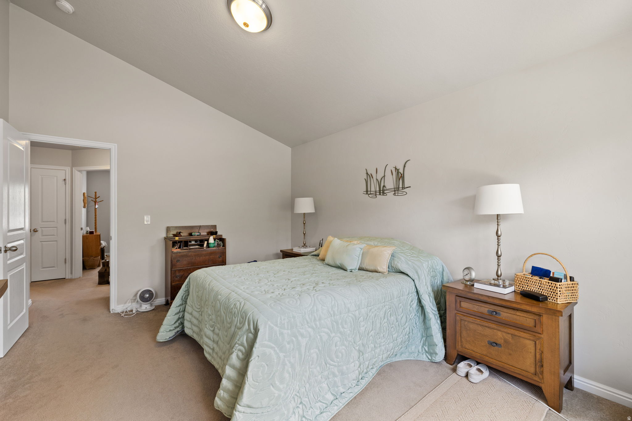 PRINCETON PARK - Residential