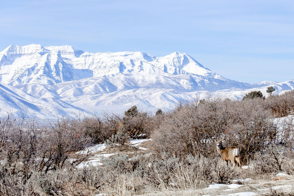 Heber City, Utah 84032, United States, ,Land,Active,64762