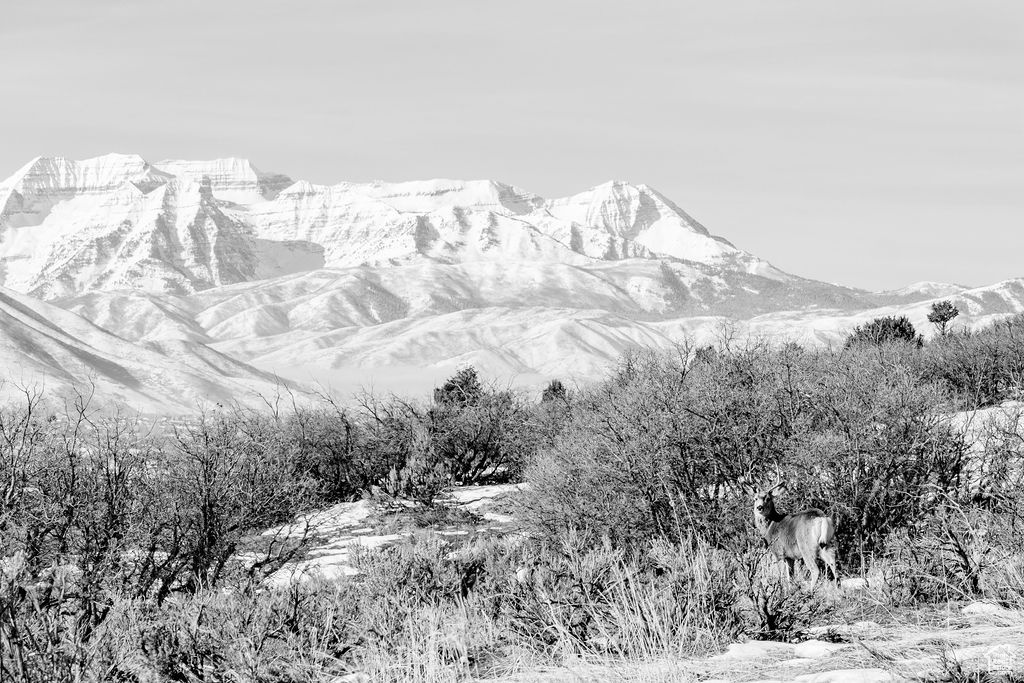 Heber City, Utah 84032, United States, ,Land,Active,64762