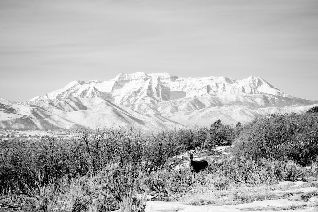 Heber City, Utah 84032, United States, ,Land,Active,64762