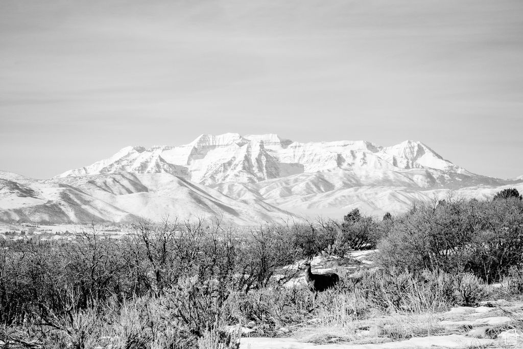 Heber City, Utah 84032, United States, ,Land,Active,64762