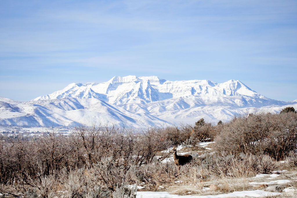 Heber City, Utah 84032, United States, ,Land,Active,64762