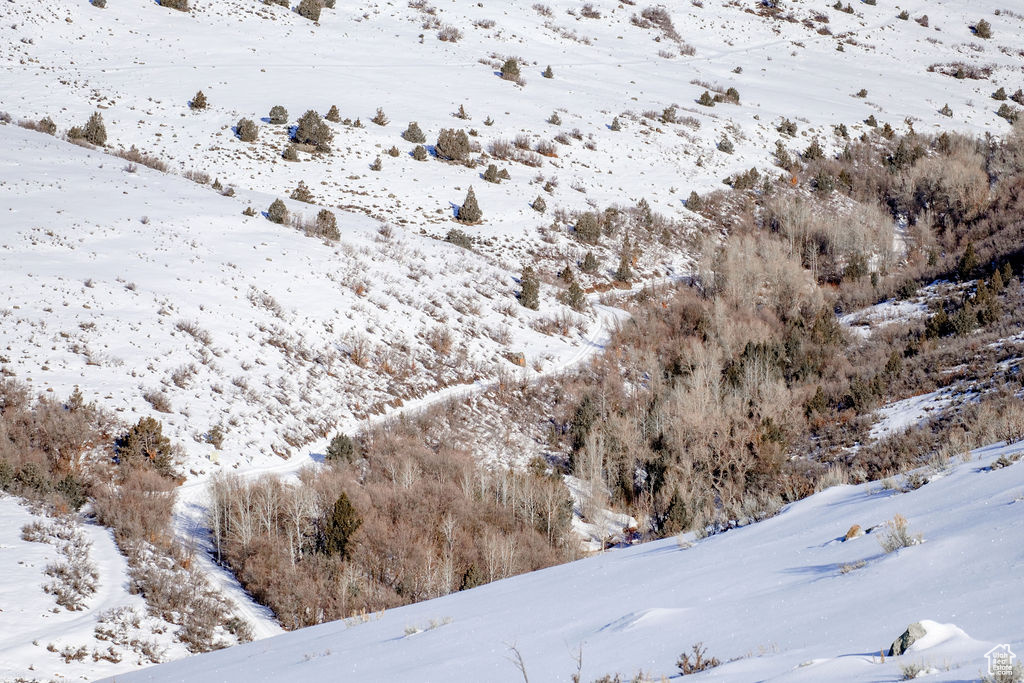 Heber City, Utah 84032, United States, ,Land,Active,64762