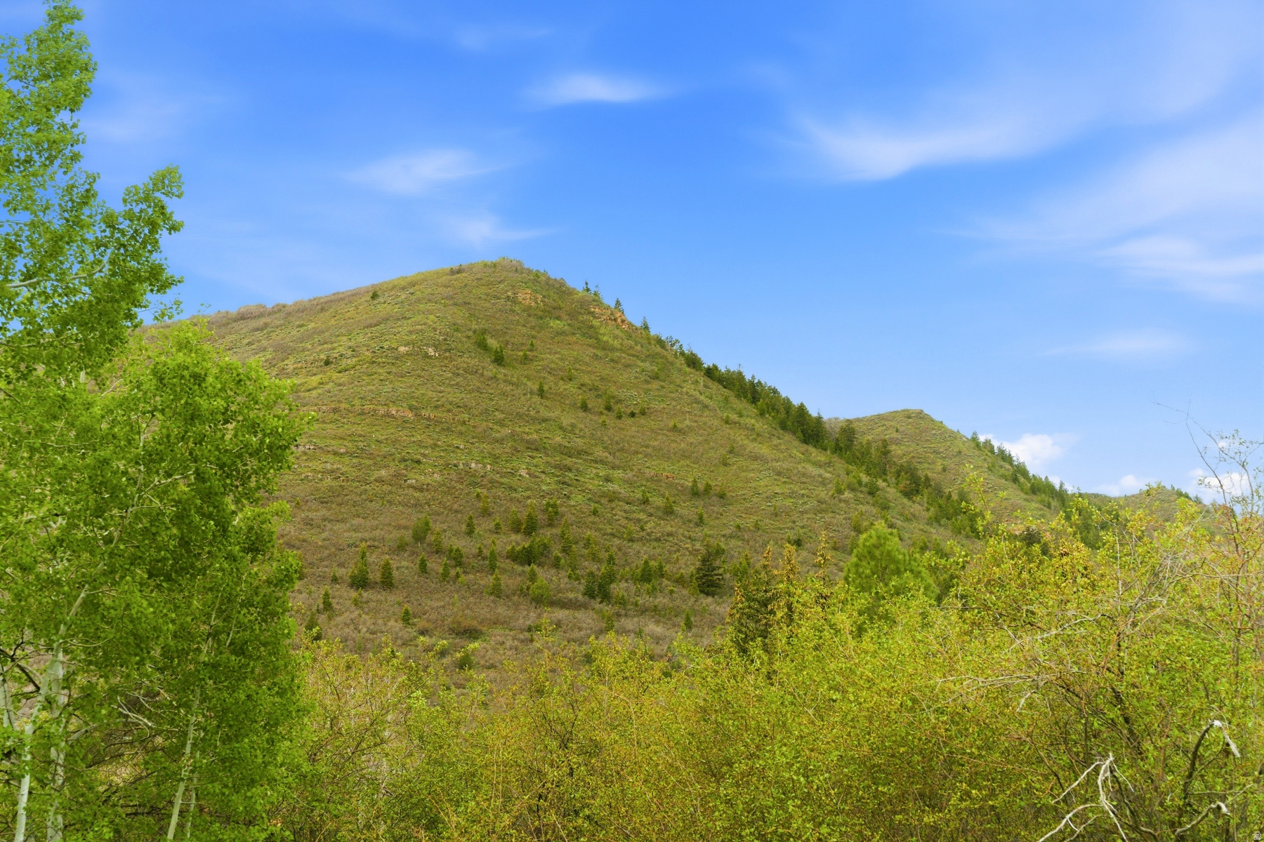 SAMAK COUNTRY ESTATE - Land