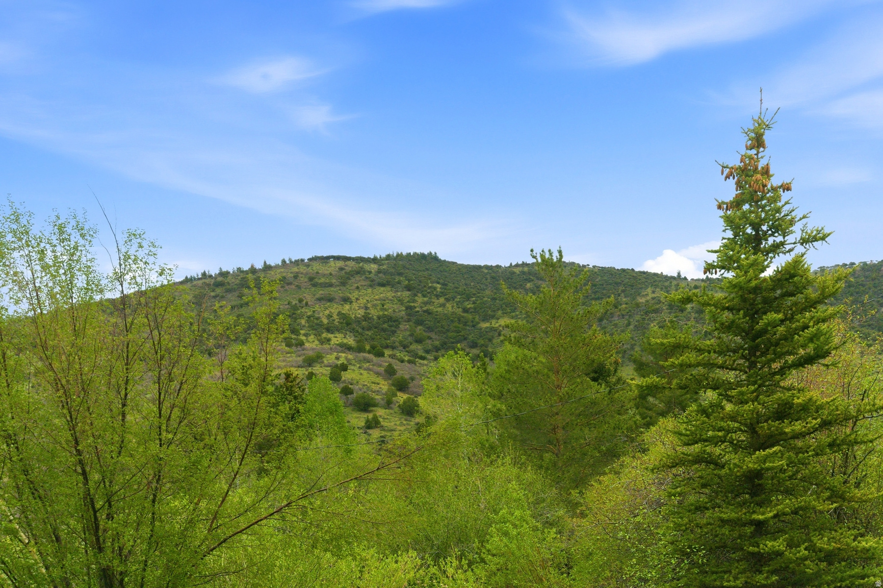 SAMAK COUNTRY ESTATE - Land