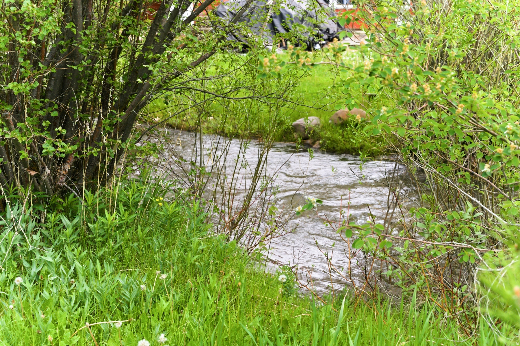 SAMAK COUNTRY ESTATE - Land