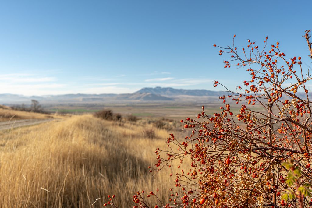 Photo of Richmond, UT 84333 (MLS # 2127584)