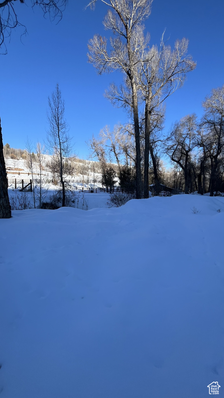 12811 Evergreen Dr #254, Huntsville, Utah image 12