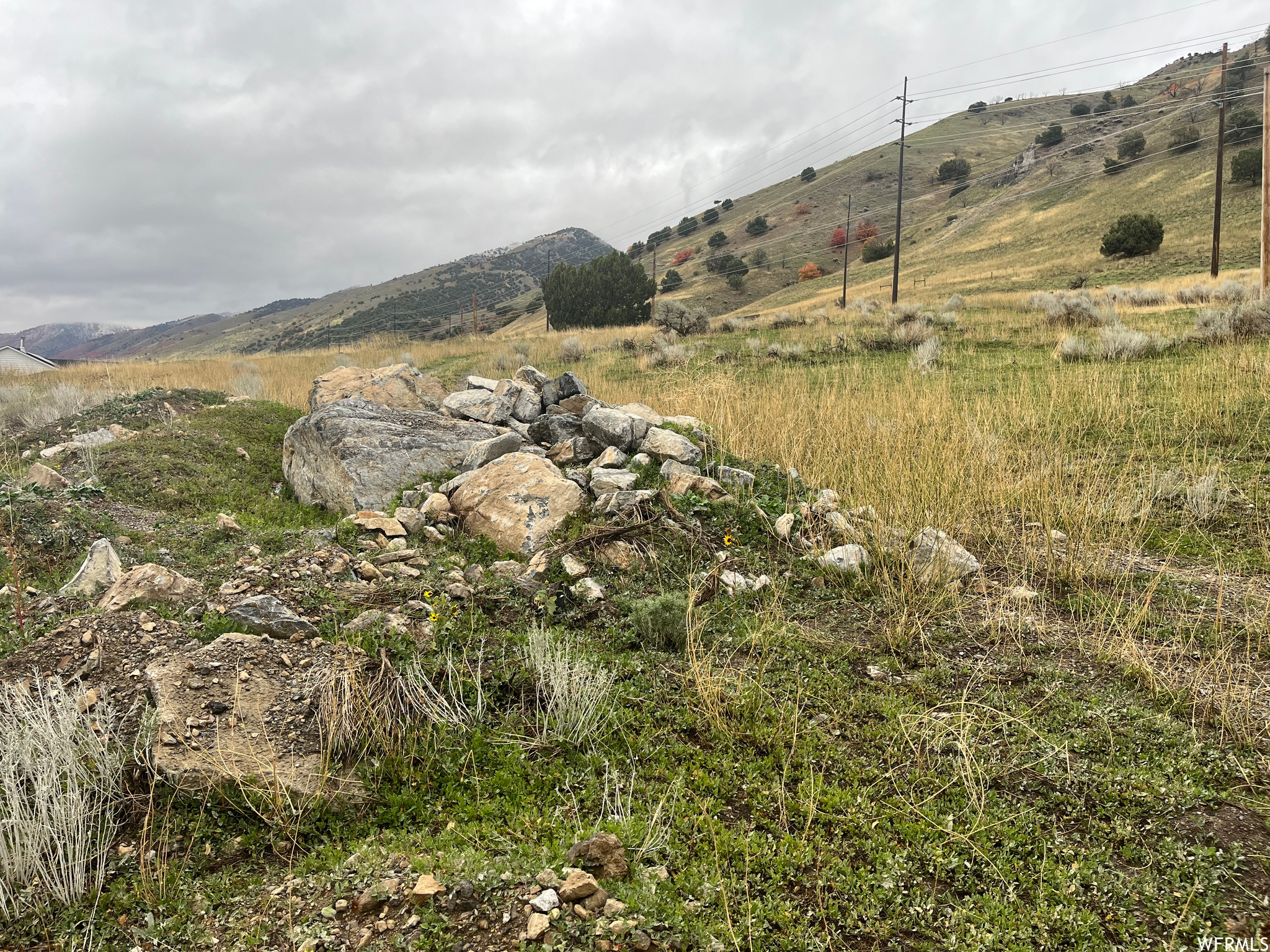 2024 Pebble Ln #34, Logan, Utah image 4