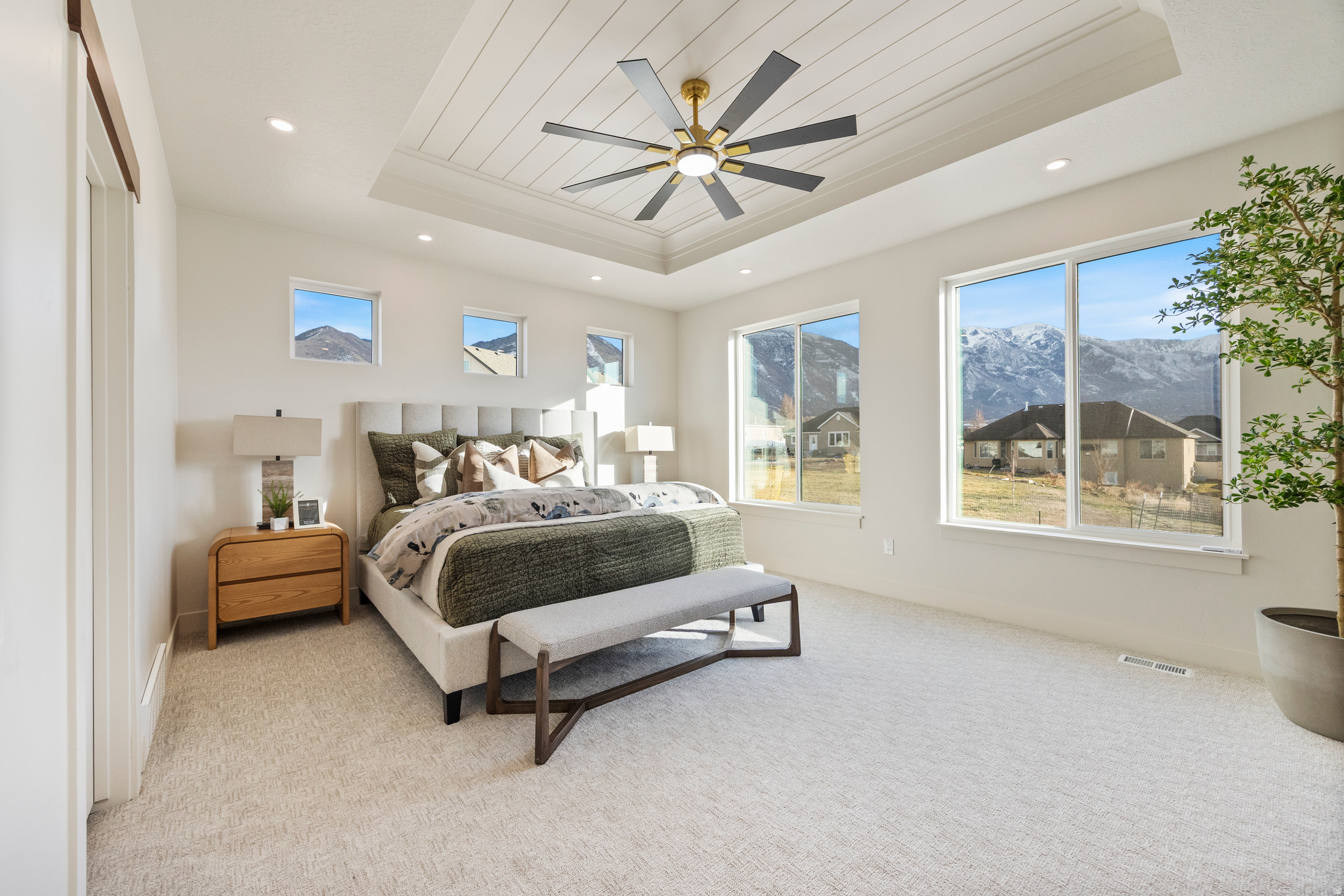 DRAGON MEADOWS - Residential