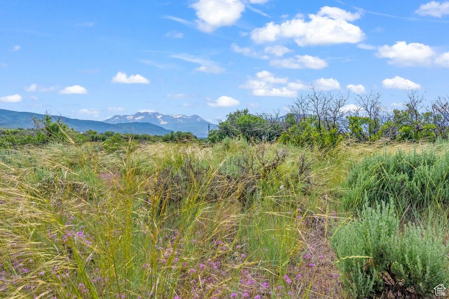 Situated just 7 minutes from Heber's historic Main Street, Blue Sage Ranch features a community of 20 luxury estate homesites ranging from 6 to 20+ acres and features an additional 80 acres of open space. With stunning views of Mount Timpanogos, Blue Sage Ranch is the community you've been waiting for! In the Spring, Summer, and Fall, owners are minutes from hiking and biking on local trails; fishing on the Provo River; golfing at Wasatch Mountain, Homestead Resort, and Soldier Hollow; boating on Deer Creek, Jordanelle, and Strawberry Reservoirs; and so much more. When the temperature drops and the snow falls, owners are a short 20 minute drive from the greatest snow on earth at Park City's world-class ski resorts to the North and Sundance to the South. For those interested in additional winter pursuits, Blue Sage Ranch offers easy access to the best in snowmobiling, snowshoeing, and cross country skiing. Just 45 minutes from the Salt Lake International Airport, 30 minutes from Orem and Provo, and 20 minutes from Park City, Blue Sage Ranch offers a home with expansive views and wide-open spaces all with easy access to Heber City and beyond.