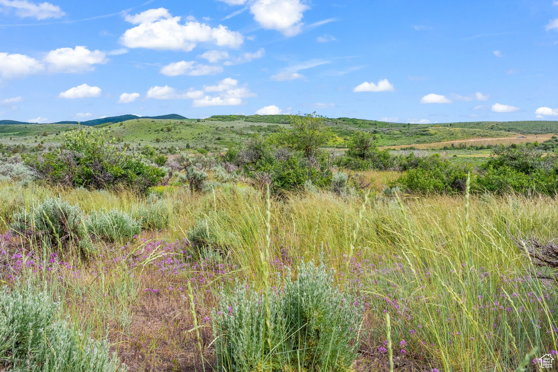 BLUE SAGE RANCH - Land