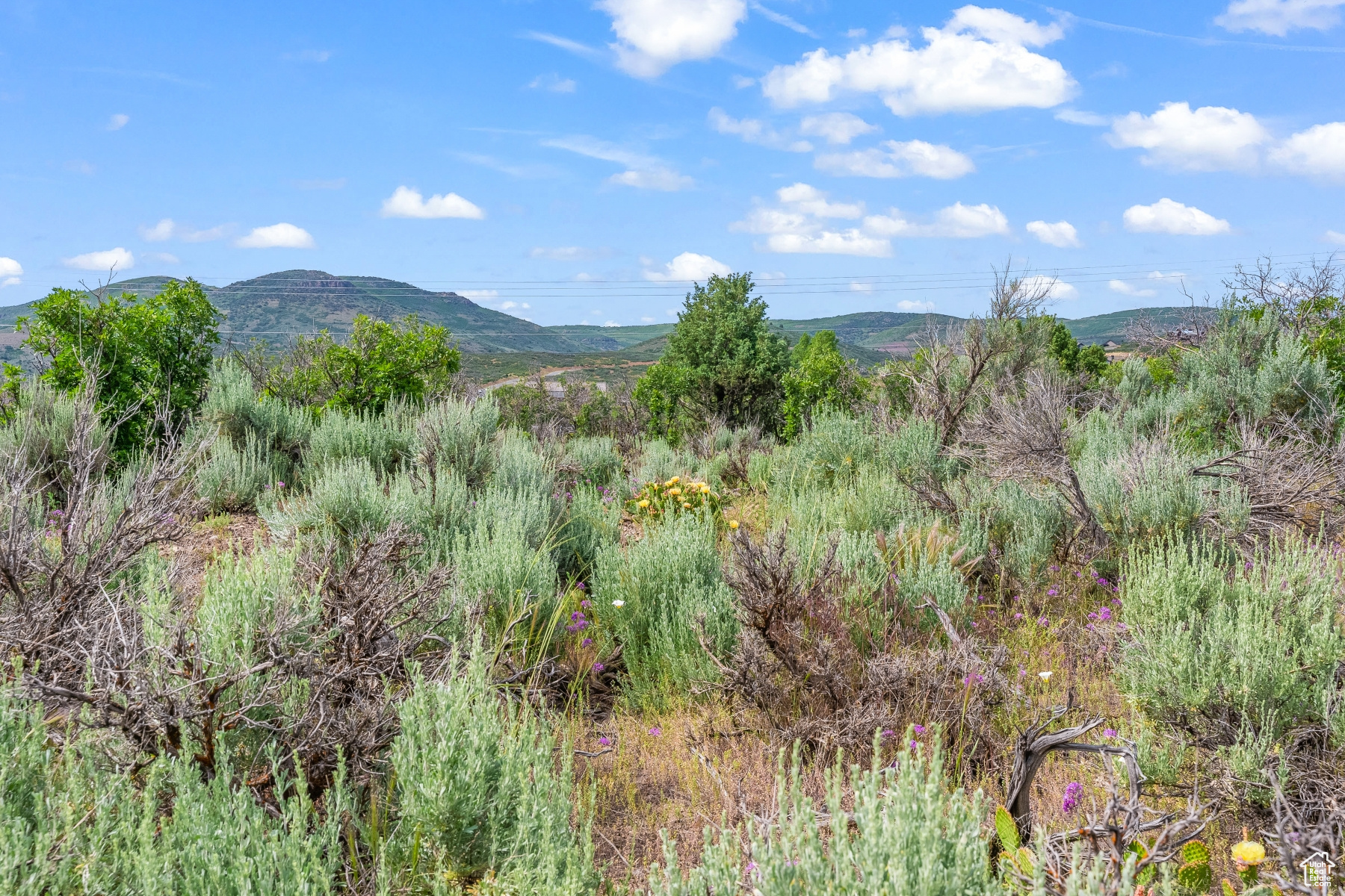 BLUE SAGE RANCH - Land