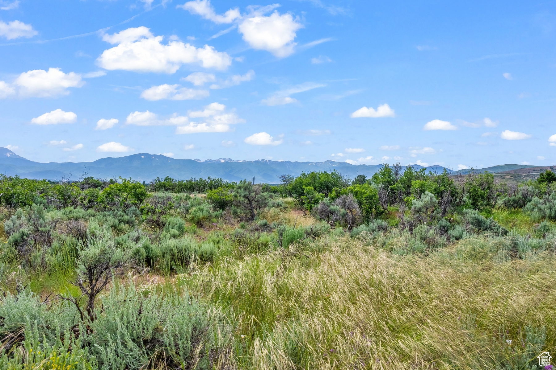 BLUE SAGE RANCH - Land