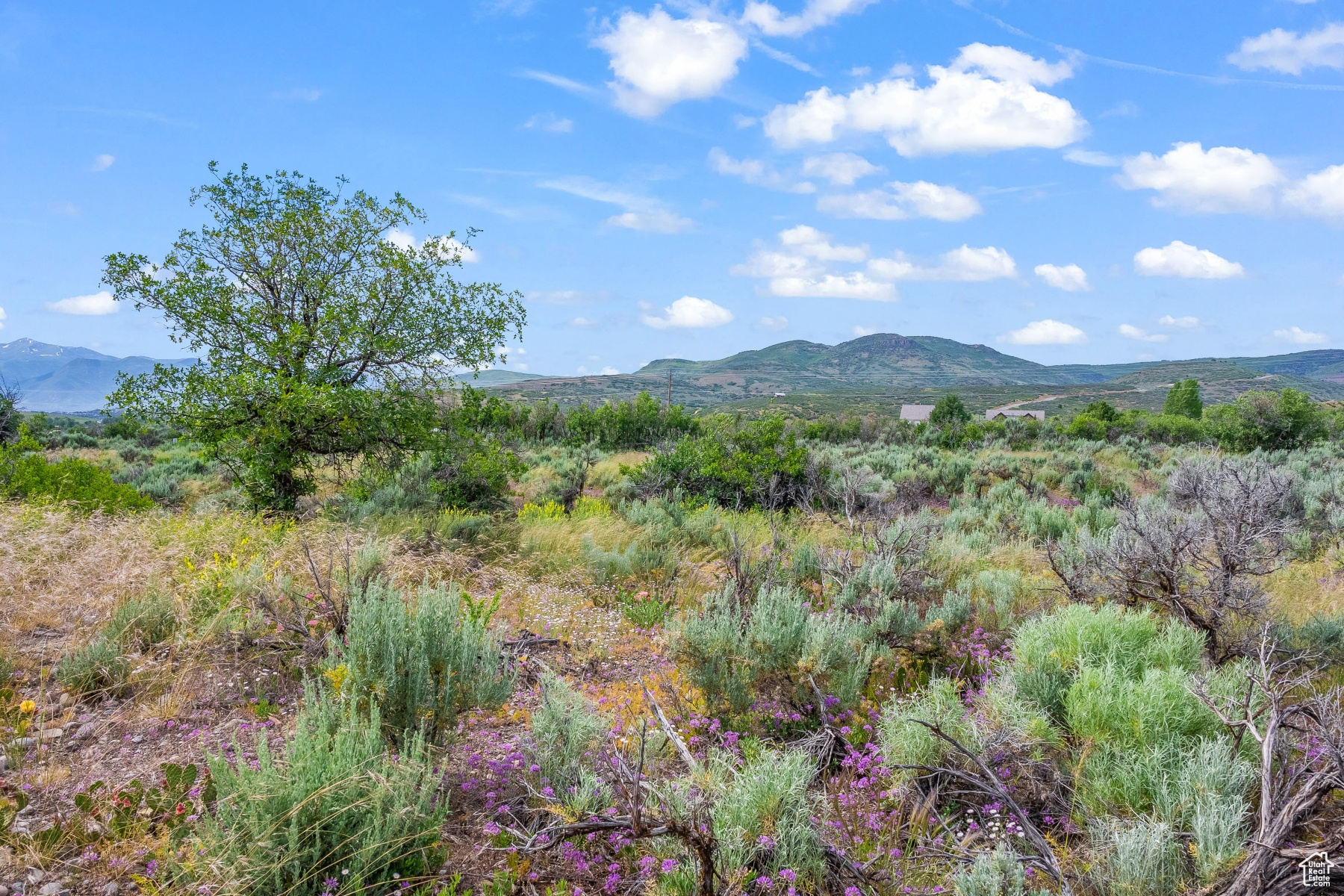 BLUE SAGE RANCH - Land