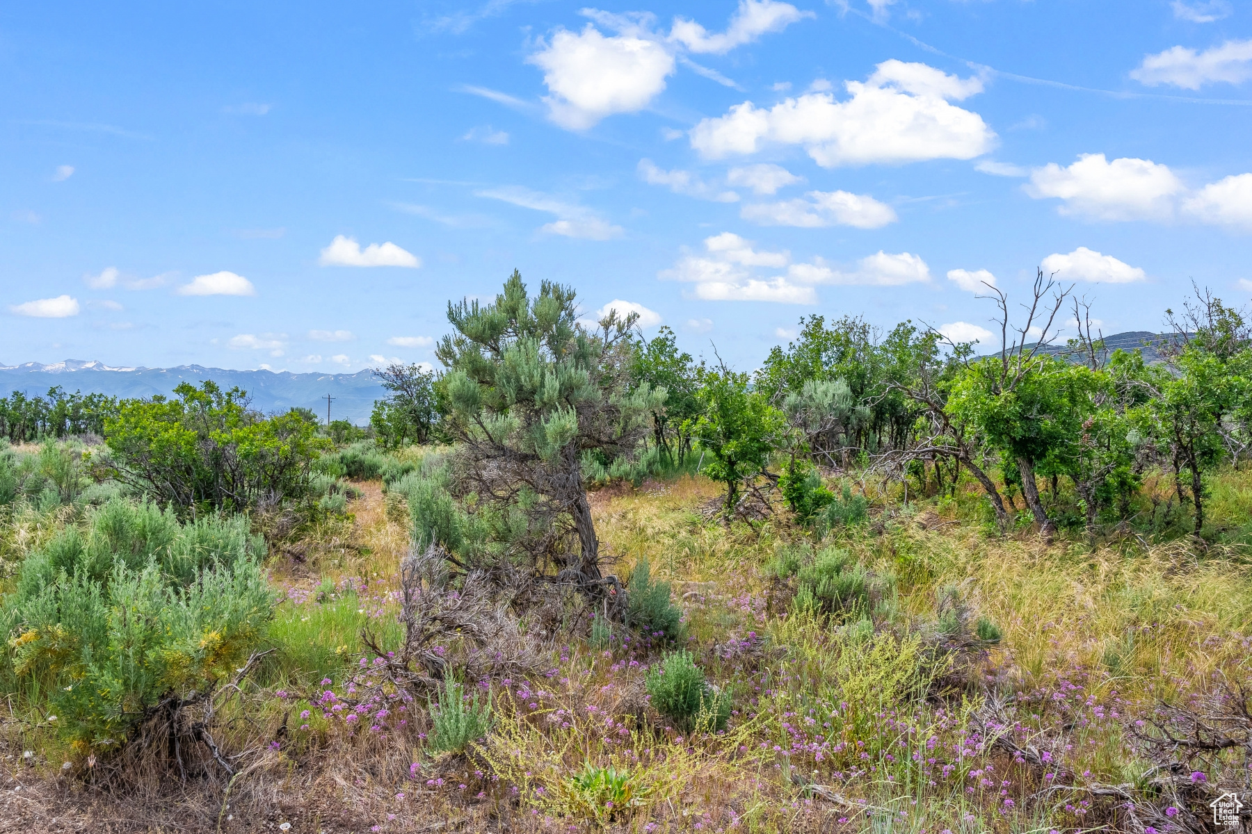 BLUE SAGE RANCH - Land