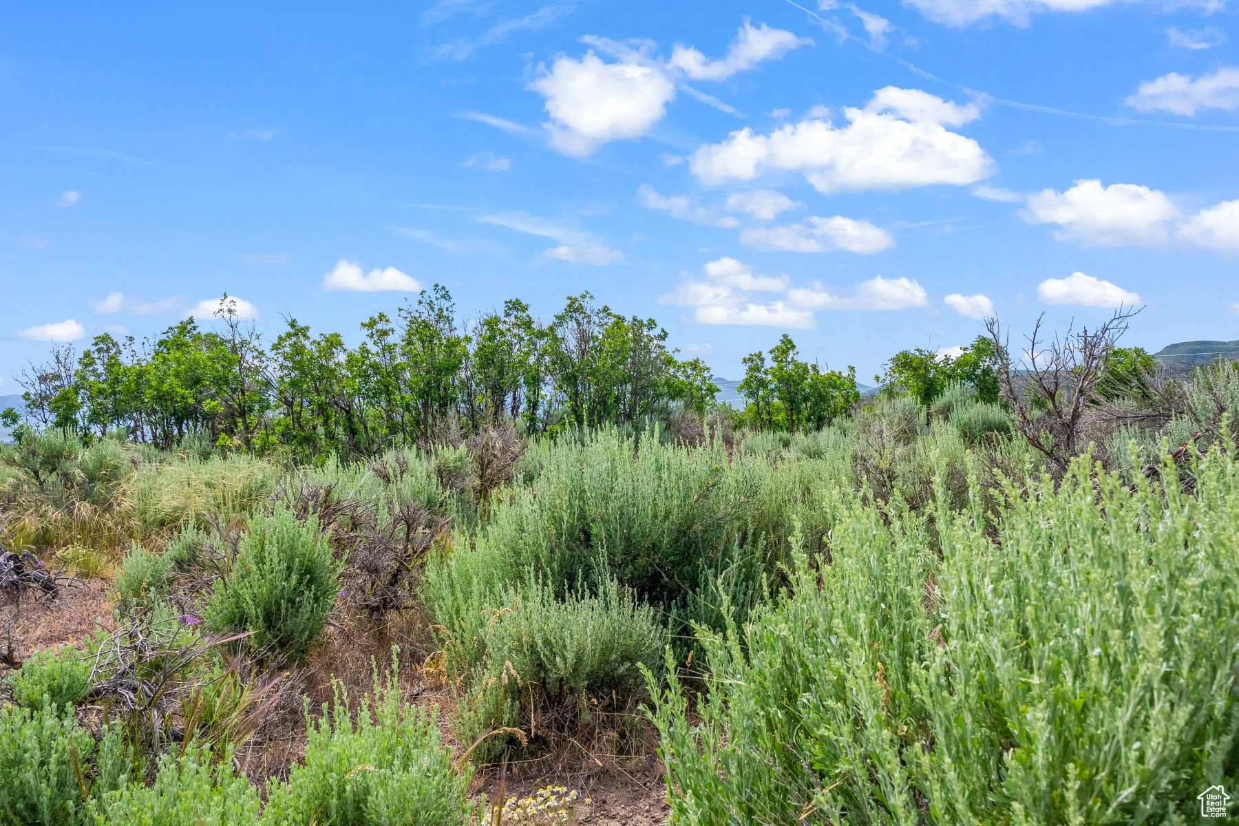 BLUE SAGE RANCH - Land
