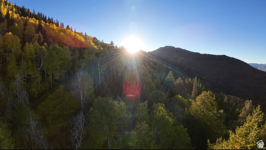 Lot 35: Here's your opportunity to own a stunning piece of land in serene Lamb's Canyon! Perfect for outdoor enthusiasts, this property offers incredible views and is ideal for camping and recreation. The attached plat map marks the property boundaries for your reference. Please note, water rights are not included, and the seller does not have information on how to acquire them. Prospective buyers should be aware that without water rights, building a cabin may not be possible. Don't miss out on this slice of nature! MLS 2026698 lot 34 next to it is also for sale. Buyer and buyer's agent to verify all info.