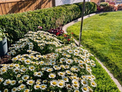 Tiny photo for 146 S 300 E, Brigham City, UT 84302 (MLS # 2181369)
