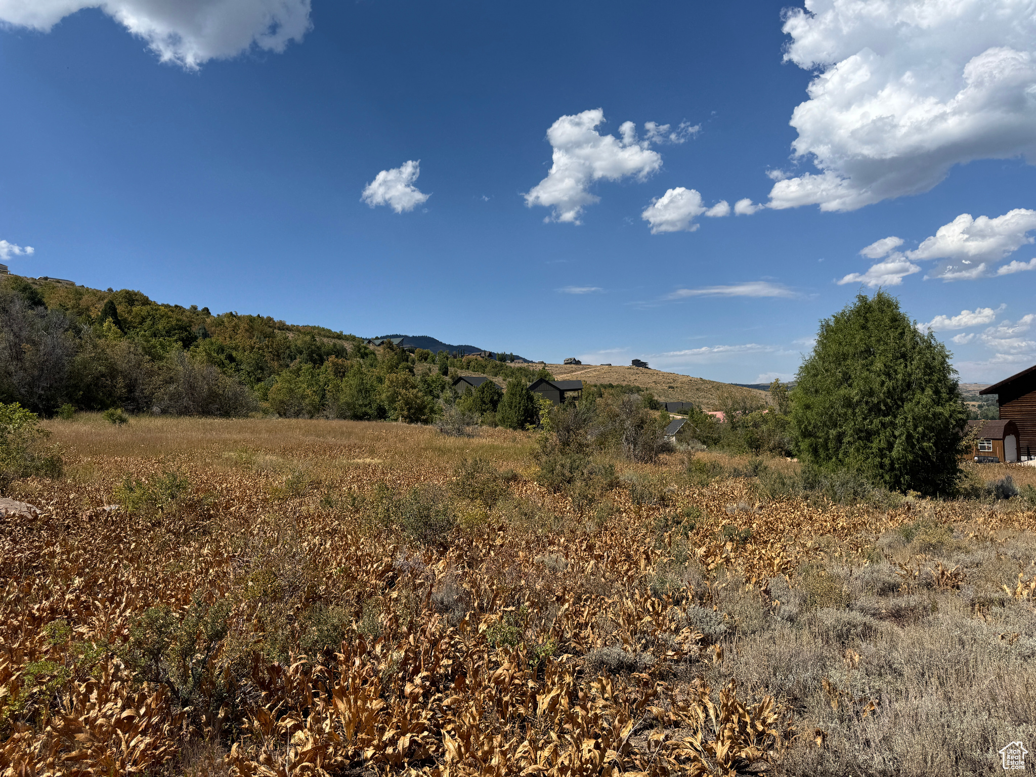 SWAN CREEK VILLAGE - Land