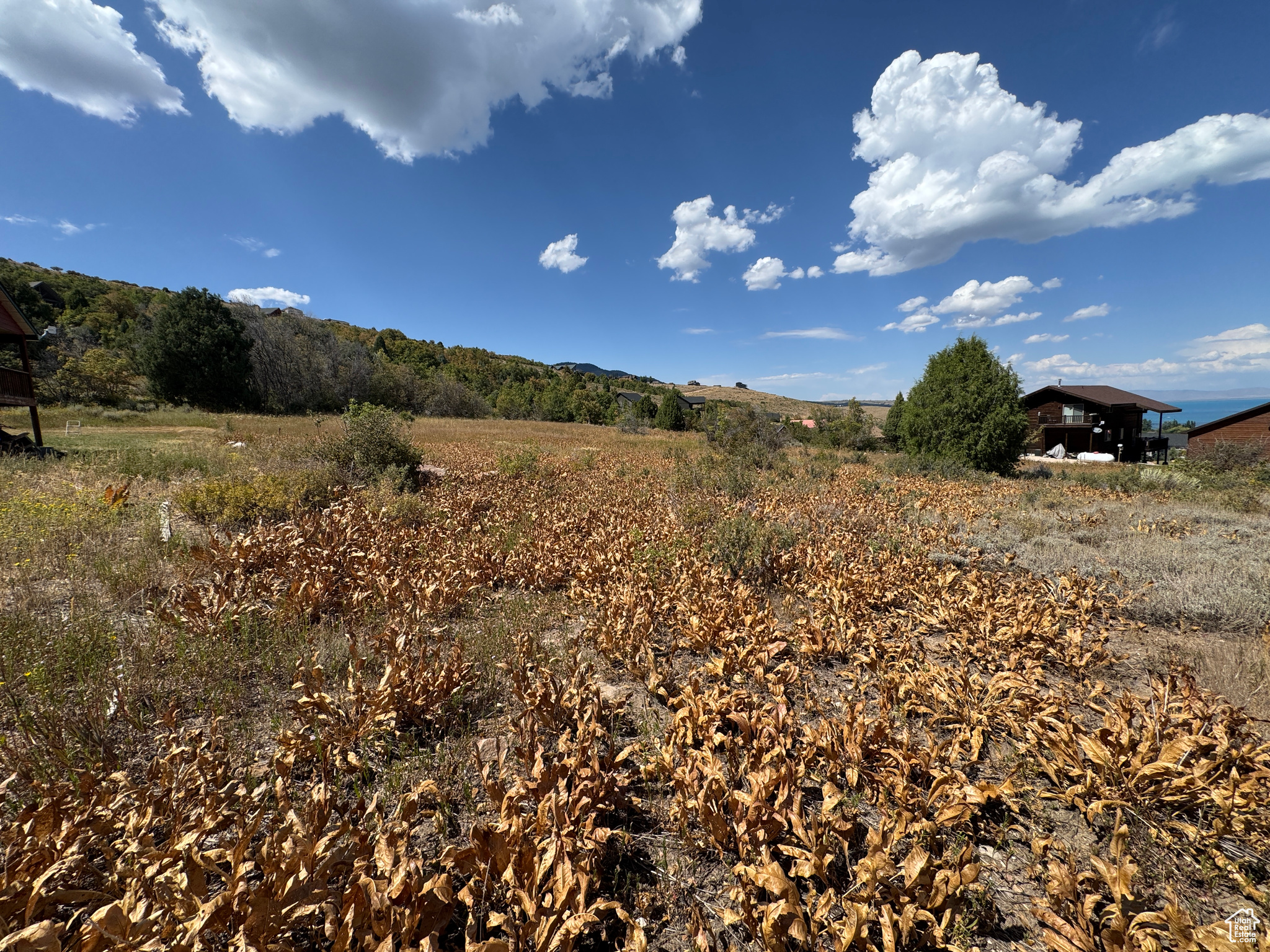 SWAN CREEK VILLAGE - Land