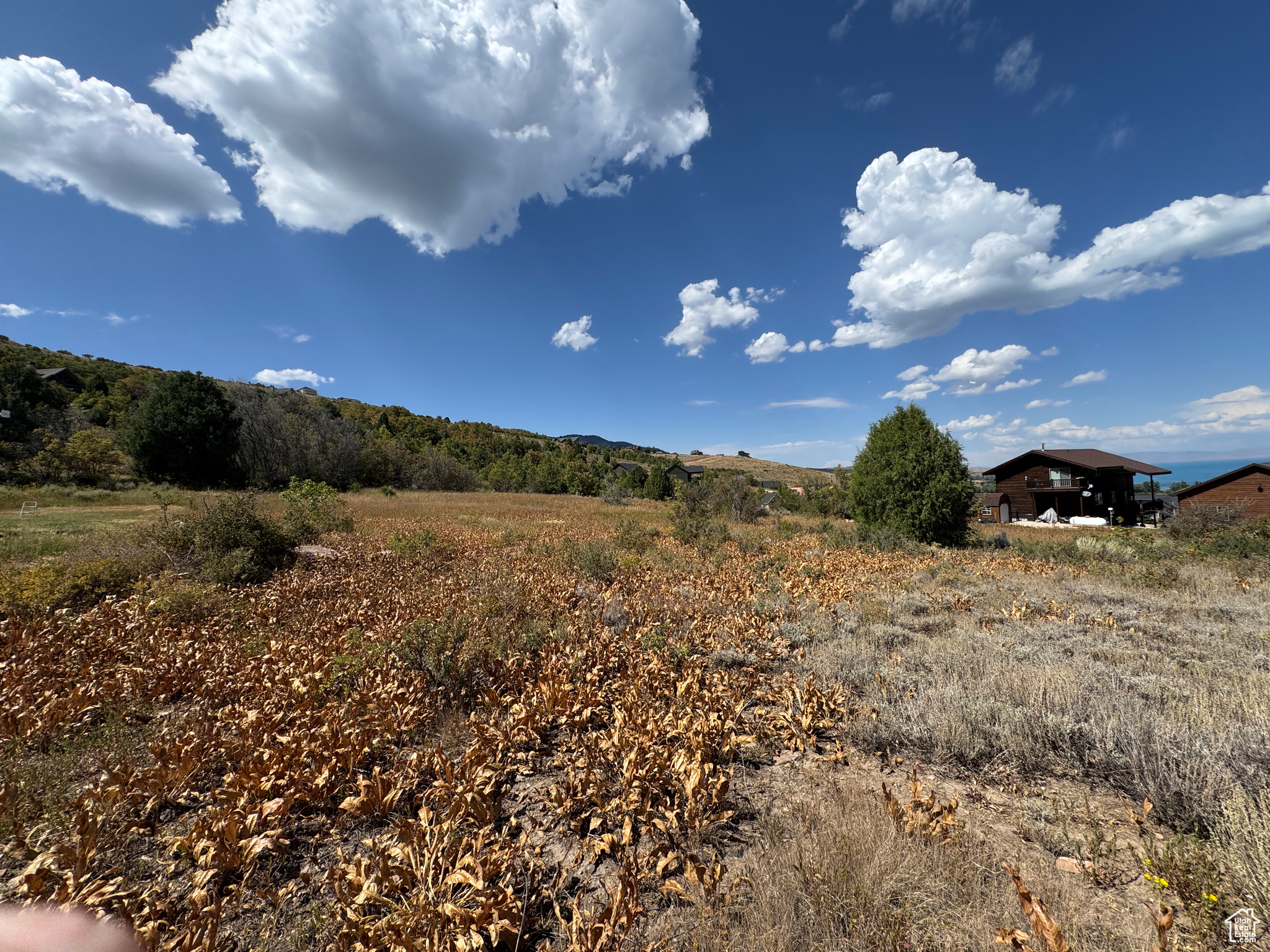 SWAN CREEK VILLAGE - Land