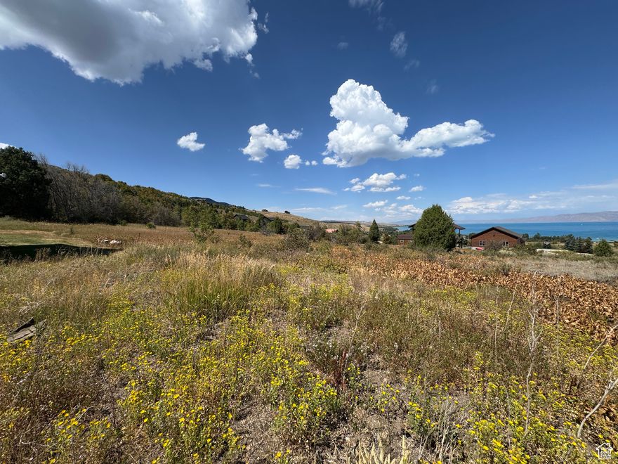 Great Lot in Swan Creek Village Community in Bear Lake. This lot is .14 acres and sits in a quite cul-de-sac. Lot is flat and has amazing views of the lake.