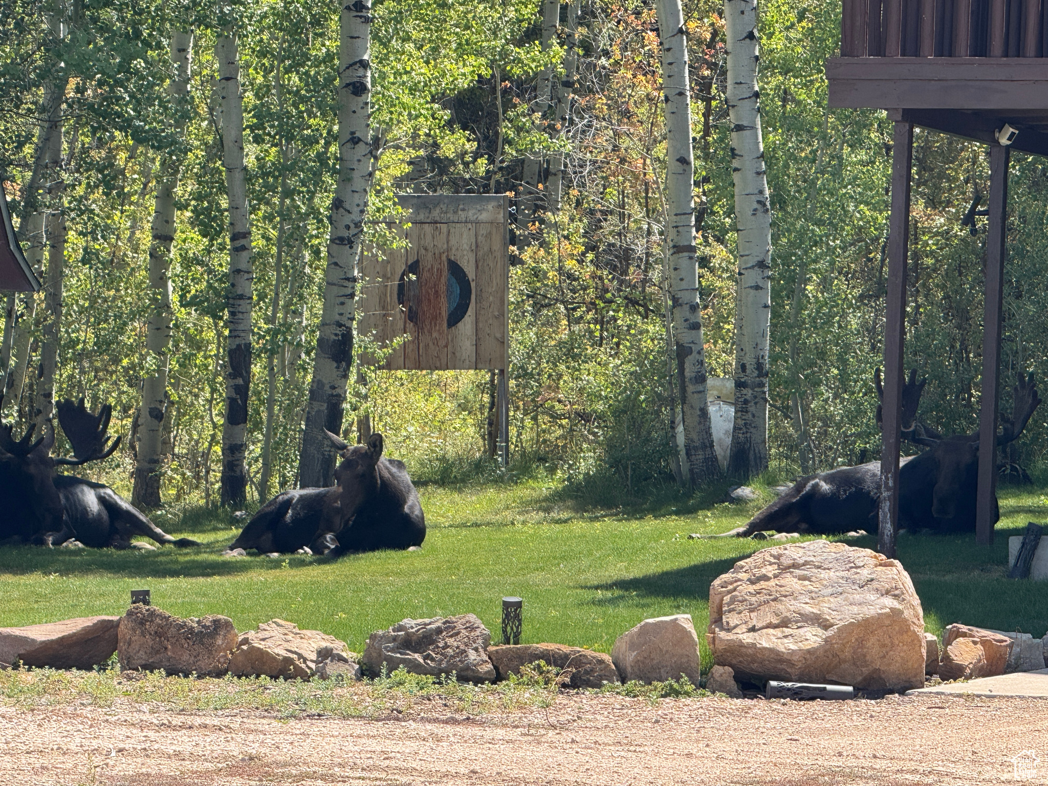 SWAN CREEK VILLAGE - Land