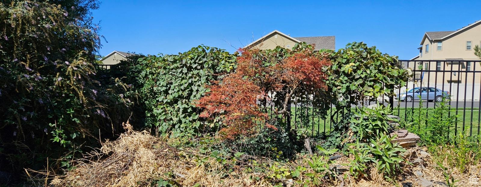 GRAY'S FARM - Residential