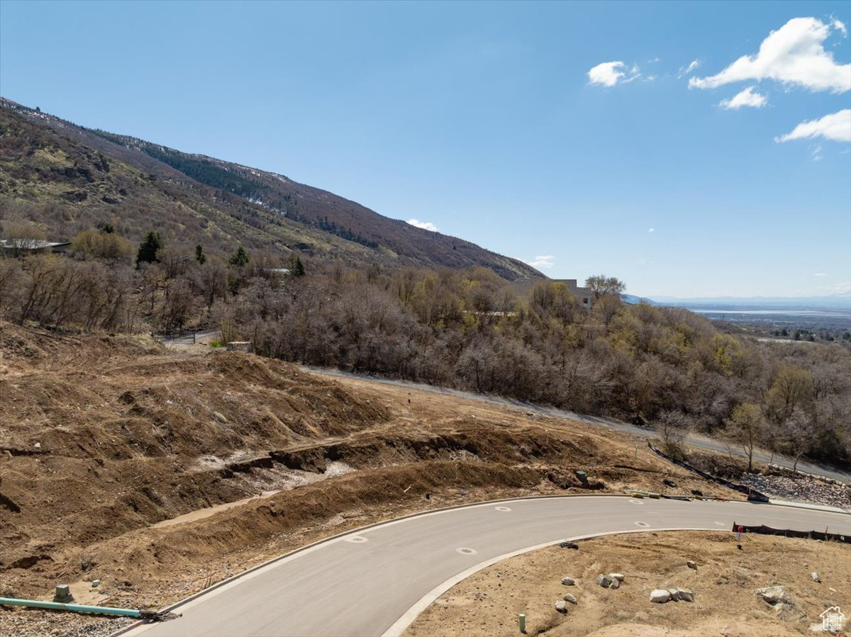 ORCHARD RIDGE PHASE 4 - Land