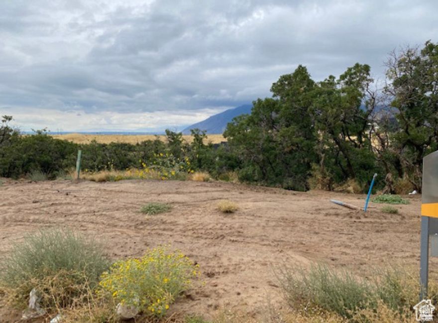 Incredible & Spectacular View Lots are available at the base of the coveted Maple Mountain in Mapleton. Exquisite neighborhood where the surrounding homes are all selling for a million dollars and up. Magnificent views in all directions. These lots are ready to build with all utilities stubbed into the lots Easy access to parks, trails, shopping, recreation, & wonderful schools