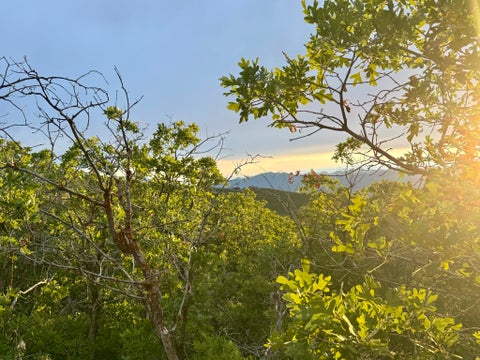 Vacant Land For Sale - 1556 S Tree Top Ln #353<br/> Wasatch County, Heber City, UT 84032