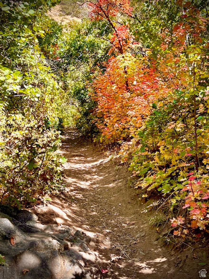 A MUST SEE.   Touch the tour button for a beautiful experience of this property. This property is located in the Ogden city limits and Ogden city school district on the pristine East bench at the mouth of the Beautiful historic Birch Creek Canyon. This is undeveloped residential property with private estate potential and or multiple homes. The property is in close proximity to numerous outdoor and recreational venues. Historic Park City ski resort along with several other ski resorts close by, ( Some will be hosting the upcoming Olympics.) Also consider many lakes, rivers, hiking, and biking trails, national parks, wildlife habitats for environmental experiences, hunting and fishing, etc. The Ogden and Salt Lake Metropolitan areas offer all the amenities and resources necessary for modern day conveniences. By clicking on the Tour button at the top, you will understand the beauty of this property.