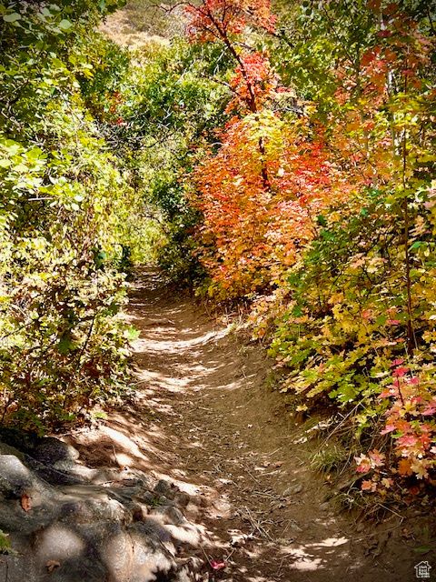 Vacant Land For Sale - 5028 S Ridgedale Dr<br/> Ogden, UT 84415